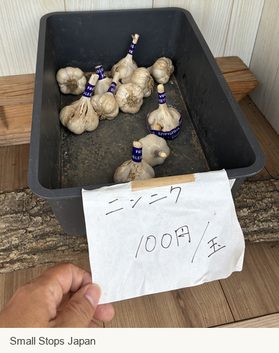 Whole garlic bulbs beside a handwritten sign reading 100 yen per bulb.