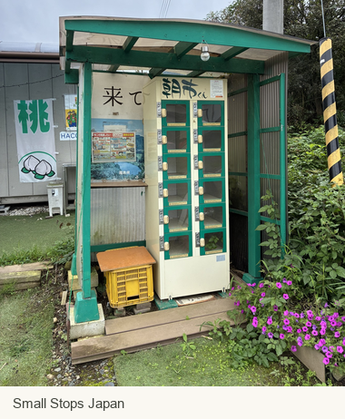 Full produce locker beneath its green-framed shelter, including the entrance and surrounding ground.