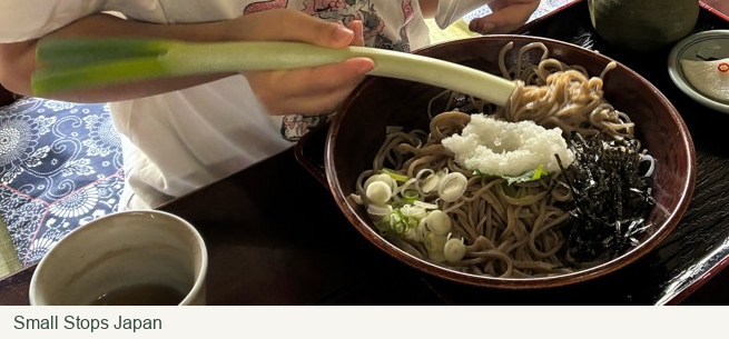 A hand holds a long green onion with noodles raised near its pale tip above a soba bowl.