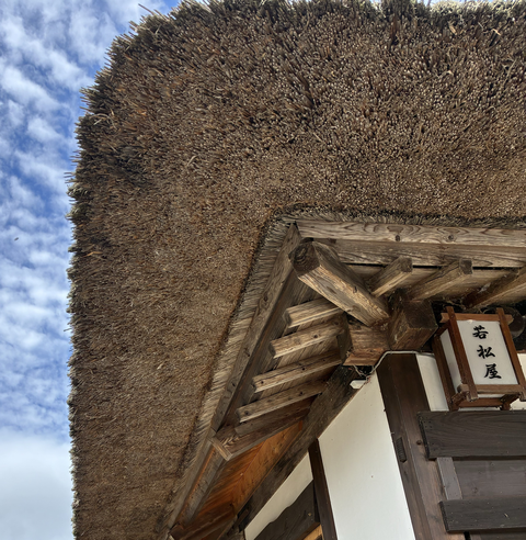 Dense ends of thatching stems at an eave, with exposed timber below.